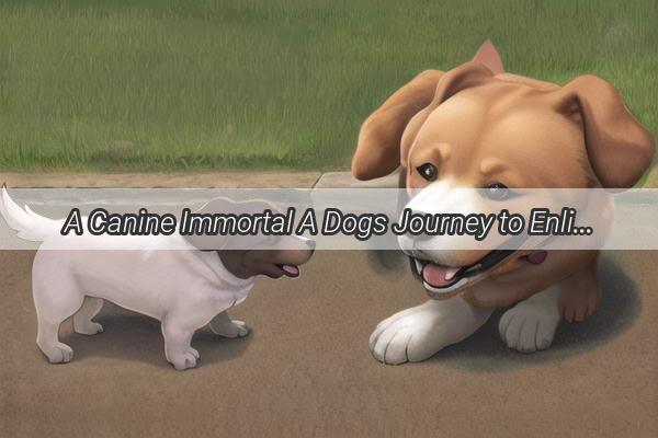 A Canine Immortal A Dogs Journey to Enlightenment in the World of Immortals